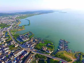 两湖市场属于什么街道