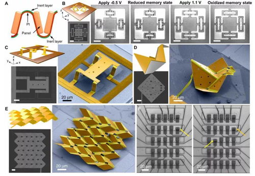 机械记忆的优缺点，机械记忆属于流体智力还是晶体智力