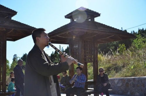 鲜为人知的意思和造句 鲜为人知的解释和造句有哪些