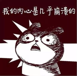 崩溃英文单词，你的不解换来我的崩溃英文