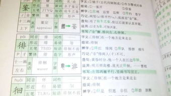 用七组词是什么