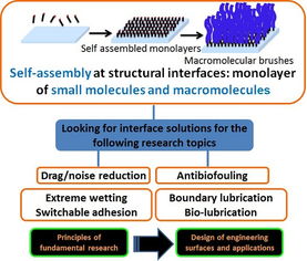 research可数还是不可数，research怎么读