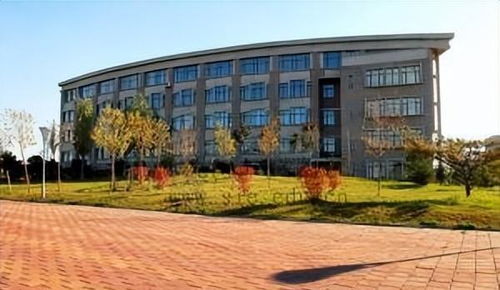 316分进沈阳工程学院是本科还是专科