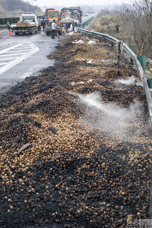 撒落的意思，撒落一地