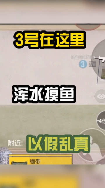 以假乱真什么意思?