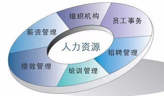 人力资源管理专业学校世界排名，人力资源管理专业学校全国排名