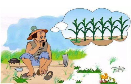 拔苗助长的寓言故事_拔苗助长的寓言故事及寓意