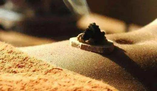 烧灼的意思和造句，五脏六腑的意思