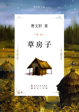 《草房子》读后感