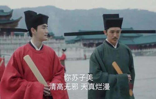 苏子美是谁演的，苏子美是个什么样的人