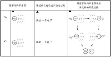 离子键是什么,共价键是什么?