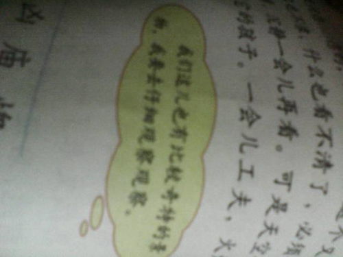 安静的近义词是什么词，安静的反义词是什么 三年级