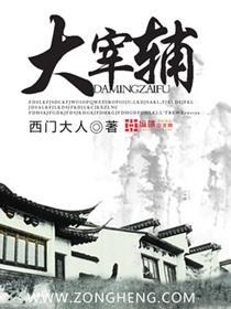 宰辅by独惆免费阅读，宰辅是几品官