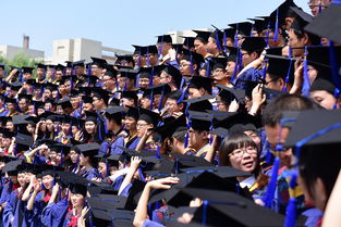 二战研究生毕业算应届生吗，30岁研究生毕业算应届生吗