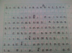 出错作文600字议论文，出错作文600字和点评