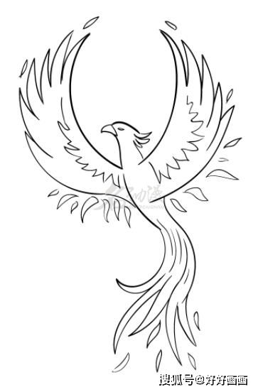 凤凰怎么画好看又霸气