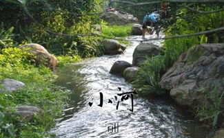 river用英文怎么说