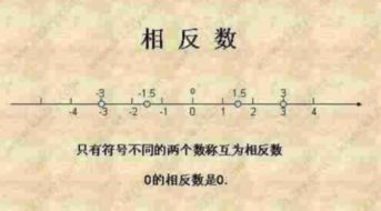 数学相反数是什么意思，倒数的相反数是什么意思