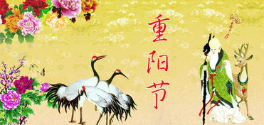 重阳节对联大全，九月重阳节对联