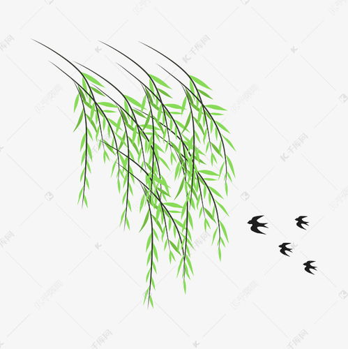 春天燕子从哪里飞回来，春天燕子往哪飞