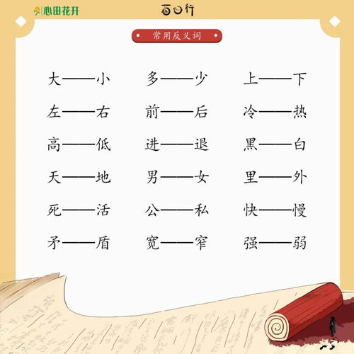 偶然的反义词