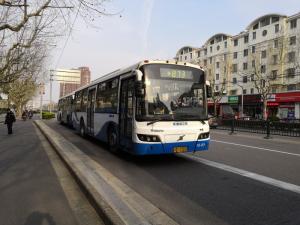 31省新增本土250+626北仑去郭巨应乘几路公交