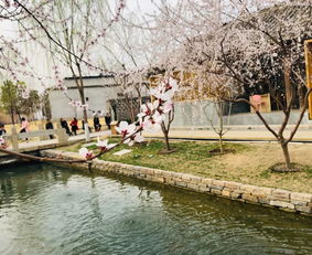 形容春风的四字词语