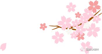 谆谆教诲的意思是什么?