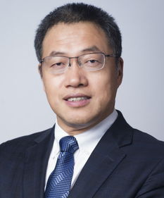 孙彦的简历