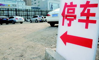 临时的造句临时的造句是什么