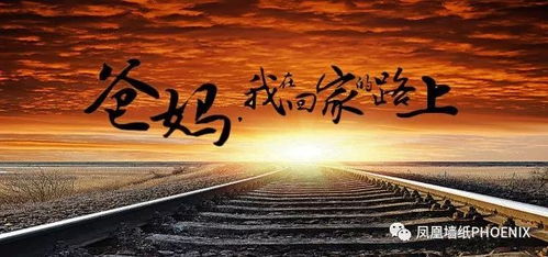 无论的成语无论的成语是什么