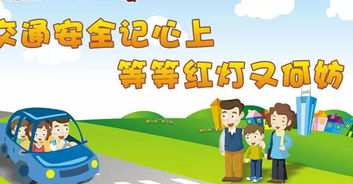 交通安全资料内容50字，交通安全资料图片