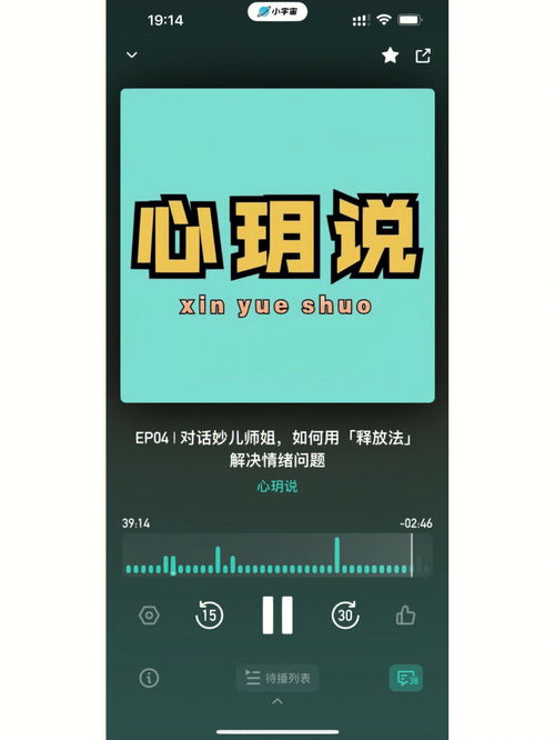手机播客是什么意思，网易云音乐的播客是什么意思