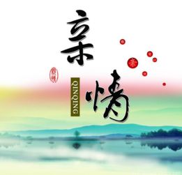 亲情的作文
