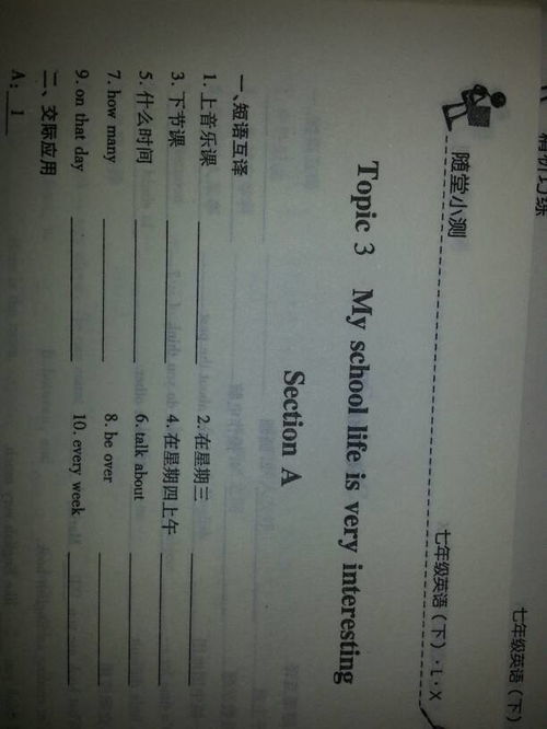 因为用英语怎么说