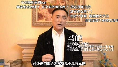 马皑的个人论著