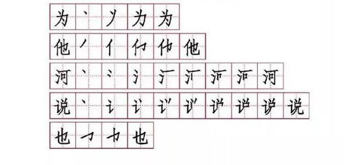 考笔顺怎么写