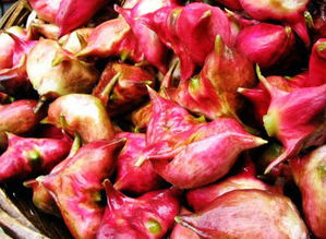 菱角肉怎么保存