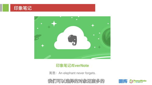 唯的意思是什么意思，唯什么意思是什么