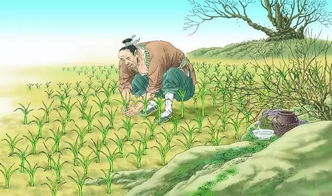 拔苗助长拼音怎么读，拔苗助长和揠苗助长哪个正确