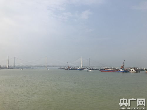城陵矶属于岳阳哪个区，城陵矶在哪个省