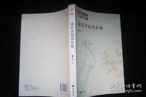《康震评说苏东坡》康震