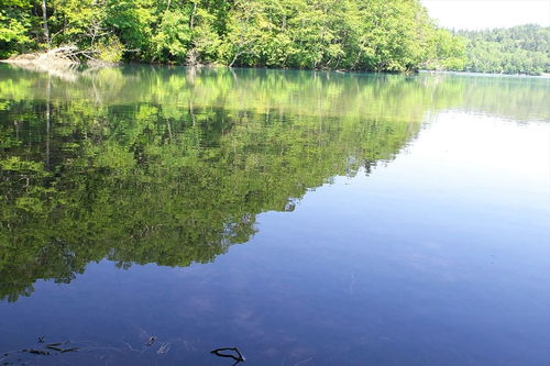 马云青山绿水下一句是什么，青山绿水下一句是什么陈情令