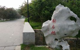陵县5月12号天气预报