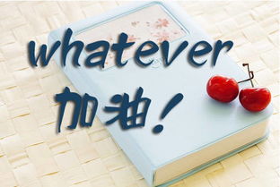 考研要带哪些东西