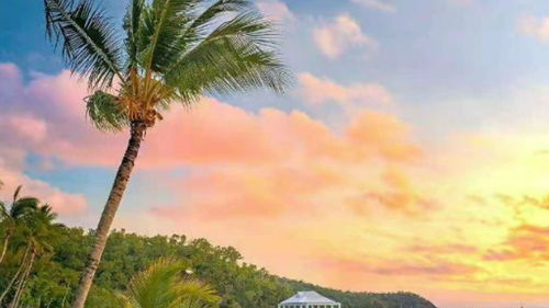 张凤英,你的爱在天地间流淌歌谱?