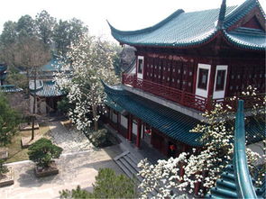 惠州南昆山温泉大观园酒店，大观园酒店员工图片大全