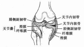 滑膜关节炎的症状，滑膜关节炎怎么治疗方法