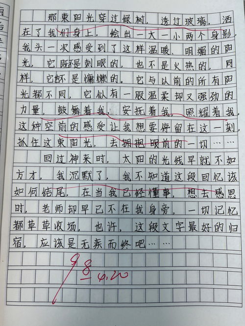 难忘的一段回忆作文