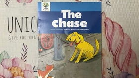 purchase怎么读，chase怎么读英语语音
